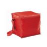 Cooler bag
